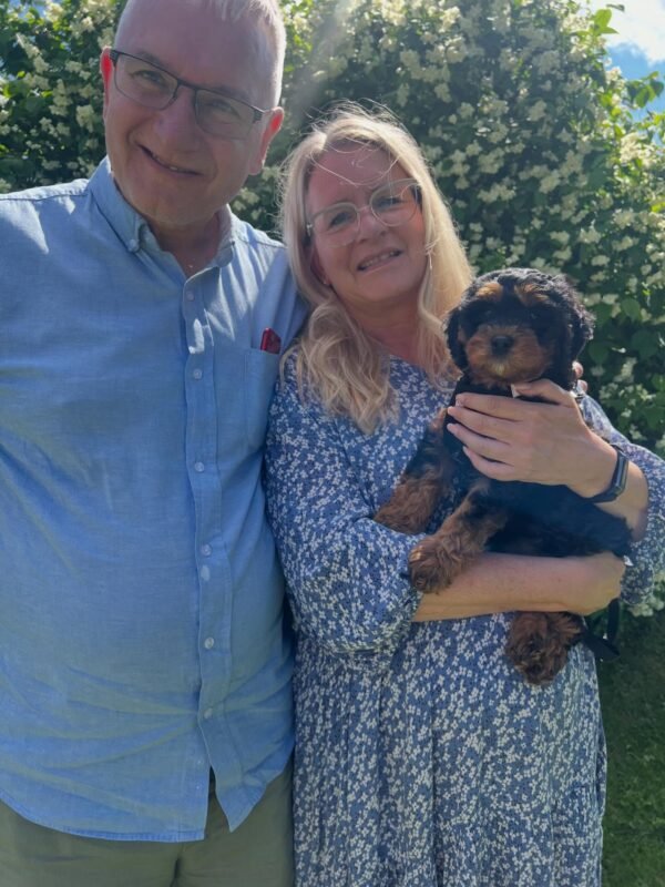 Pet shipping australia
