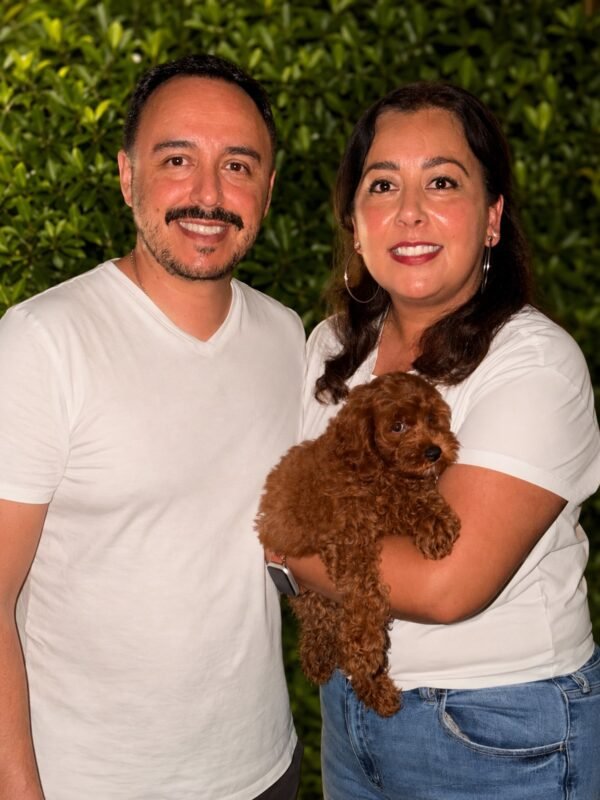 cavoodle puppies for sale adelaide south australia